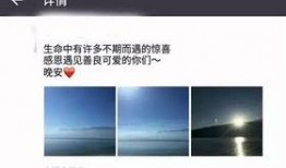 来凤百姓网最新爆料,揭秘当地热点事件背后真相